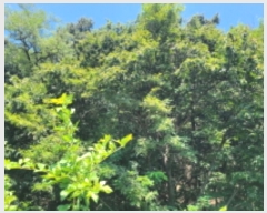  2024Ÿ38313  õ  ̸ 18      (Ӿ)