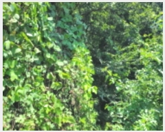  2024Ÿ38313  õ  ̸ 18      (Ӿ)