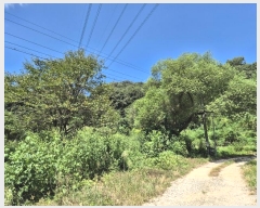  2024Ÿ38535    θ 44      (Ӿ)