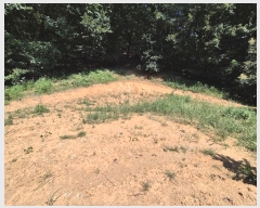  2024Ÿ38535    θ 44      (Ӿ)