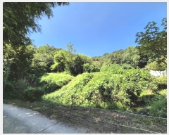  2024Ÿ38535    θ 44      (Ӿ)