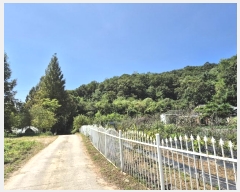  2024Ÿ38535    θ 44      (Ӿ)