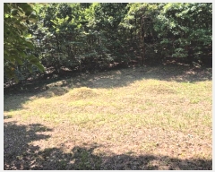  2024Ÿ38535    θ 44      (Ӿ)