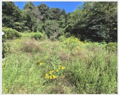  2024Ÿ38535    θ 44      (Ӿ)