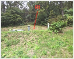  2024Ÿ39729   絿 и 444-1      (Ӿ)