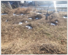  2024Ÿ��42121 ��� ���� ��õ�� �ƽŸ� 545-5      ����(��)���