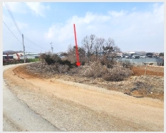  2024Ÿ��42817  �����