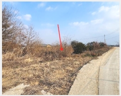  2024Ÿ��42817  �����