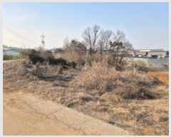  2024Ÿ��42817  �����