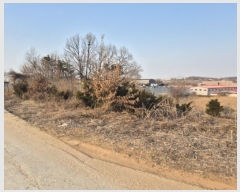  2024Ÿ��42817  �����