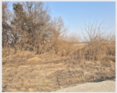  2024Ÿ��42817  �����