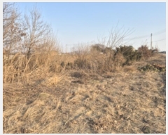  2024Ÿ��42817  �����