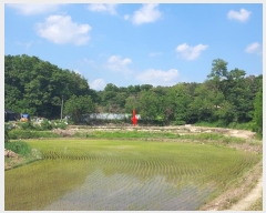  2024Ÿ��2604 ��� ���ֽ� ��Ÿ� ������ 176      ����(��)���