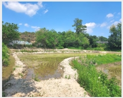  2024Ÿ��2604 ��� ���ֽ� ��Ÿ� ������ 176      ����(��)���