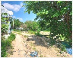  2024Ÿ��2604 ��� ���ֽ� ��Ÿ� ������ 176      ����(��)���