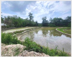  2024Ÿ��2604 ��� ���ֽ� ��Ÿ� ������ 176      ����(��)���