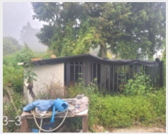  2024Ÿ��4891 ��� ���� �ܿ��� ������ 135-1      ���ð��