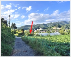  2024Ÿ��4907 ��� ���� �ܿ��� ������ 135      ����(��1)���