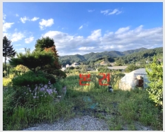  2024Ÿ��4907 ��� ���� �ܿ��� ������ 135      ����(��1)���