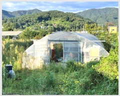  2024Ÿ��4907 ��� ���� �ܿ��� ������ 135      ����(��1)���