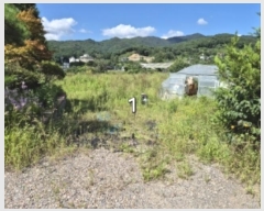  2024Ÿ��4907 ��� ���� �ܿ��� ������ 135      ����(��1)���