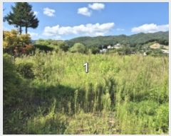  2024Ÿ��4907 ��� ���� �ܿ��� ������ 135      ����(��1)���