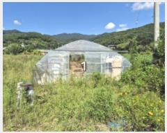  2024Ÿ��4907 ��� ���� �ܿ��� ������ 135      ����(��1)���