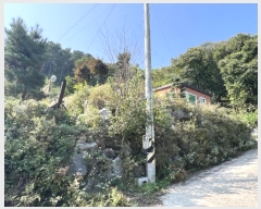  2024Ÿ��5061  ���ð��