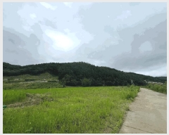  2024Ÿ��36539  �Ӿ߰��