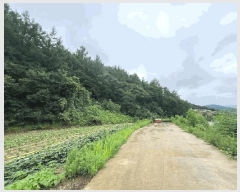  2024Ÿ��36539  �Ӿ߰��