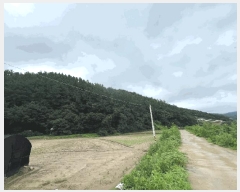  2024Ÿ��36539  �Ӿ߰��