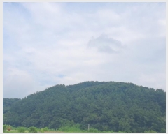  2024Ÿ��36539  �Ӿ߰��