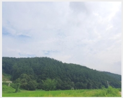  2024Ÿ��36539  �Ӿ߰��