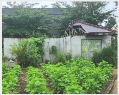  2024Ÿ37099  õ ι 긮 312-1      ()