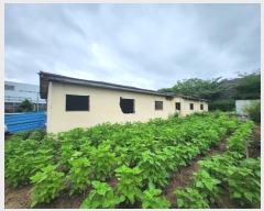  2024Ÿ37099  õ ι 긮 312-1      ()