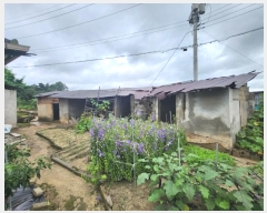  2024Ÿ37099  õ ι 긮 312-1      ()