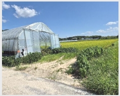  2024Ÿ��37983 ��� ���ֽ� �ϳ��� ������ 520      ����(��)���