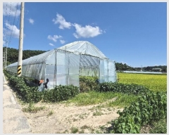  2024Ÿ��37983 ��� ���ֽ� �ϳ��� ������ 520      ����(��)���