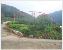  2024Ÿ��38085 ��� ���� �빮�� ������ 455-6      ����(��1)���