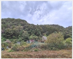  2024Ÿ��39712  �Ӿ߰��