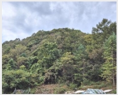  2024Ÿ��39712  �Ӿ߰��