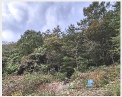  2024Ÿ��39712  �Ӿ߰��