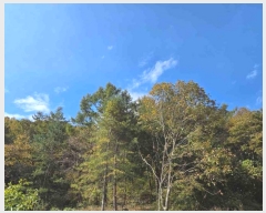  2024Ÿ��39712  �Ӿ߰��