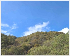  2024Ÿ��39712  �Ӿ߰��