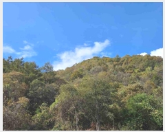  2024Ÿ��39712  �Ӿ߰��