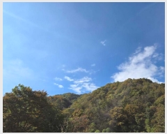  2024Ÿ��39712  �Ӿ߰��