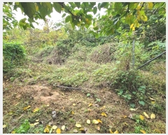  2024Ÿ��40026 ��� ���� ������ �������� ��4-9      ����(�Ӿ�)���