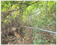  2024Ÿ��40026 ��� ���� ������ �������� ��4-9      ����(�Ӿ�)���