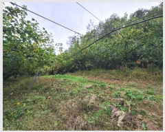  2024Ÿ��40026 ��� ���� ������ �������� ��4-9      ����(�Ӿ�)���