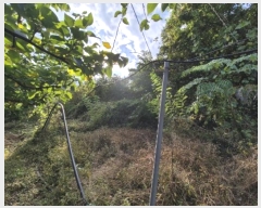  2024Ÿ��40026 ��� ���� ������ �������� ��4-9      ����(�Ӿ�)���